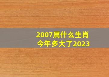 2007属什么生肖 今年多大了2023